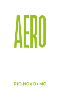 Logotipo Aero Run Vertical